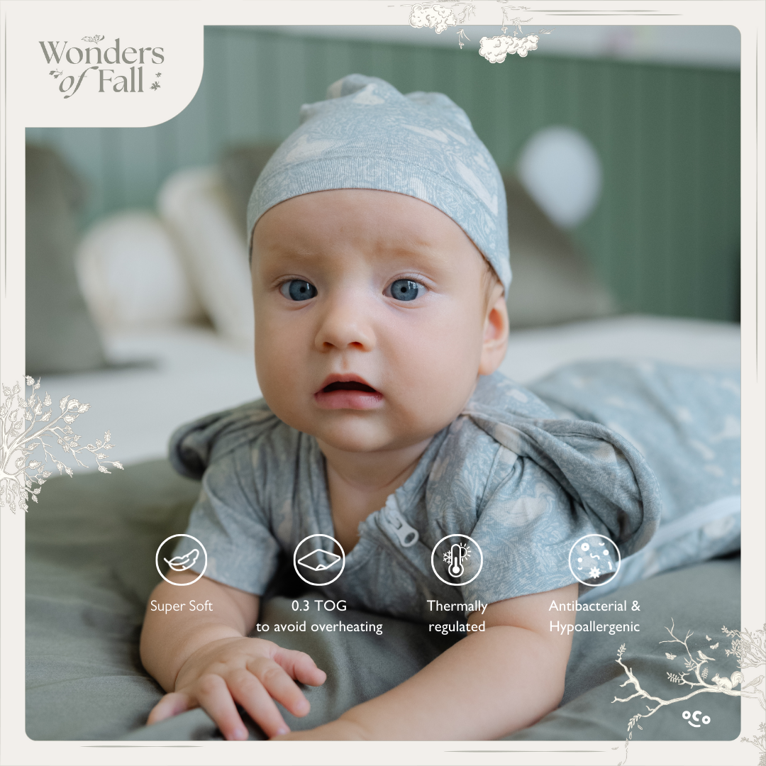 Instant Swaddle - Wonders of Fall