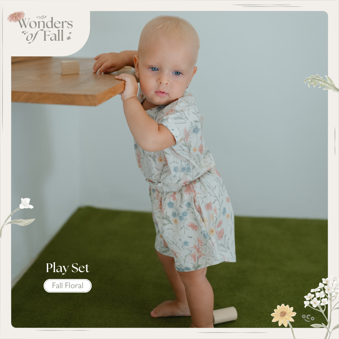 Short Play Set - Wonders of Fall